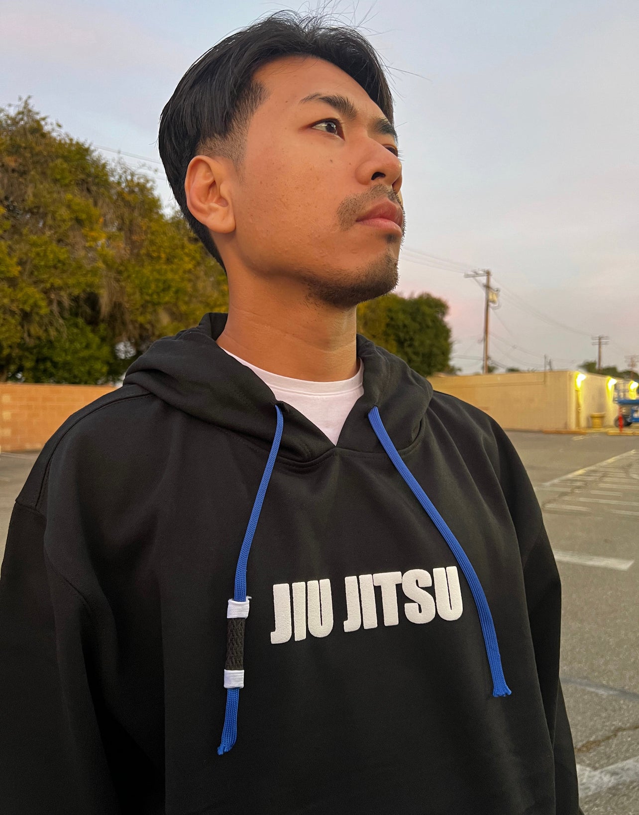 JIU JITSU BLUE BELT RANK HOODIE